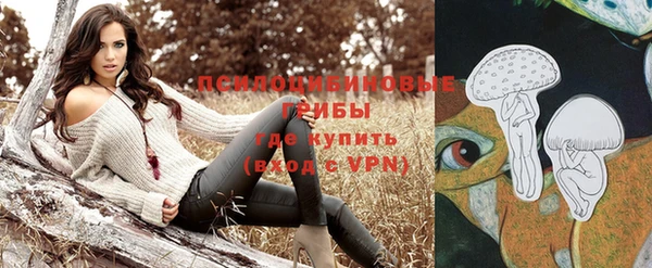 ПСИЛОЦИБИНОВЫЕ ГРИБЫ Шали