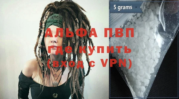 ГАЛЛЮЦИНОГЕННЫЕ ГРИБЫ Белокуриха