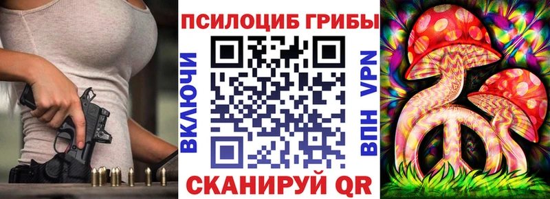 Псилоцибиновые грибы мицелий OMG зеркало Кинель